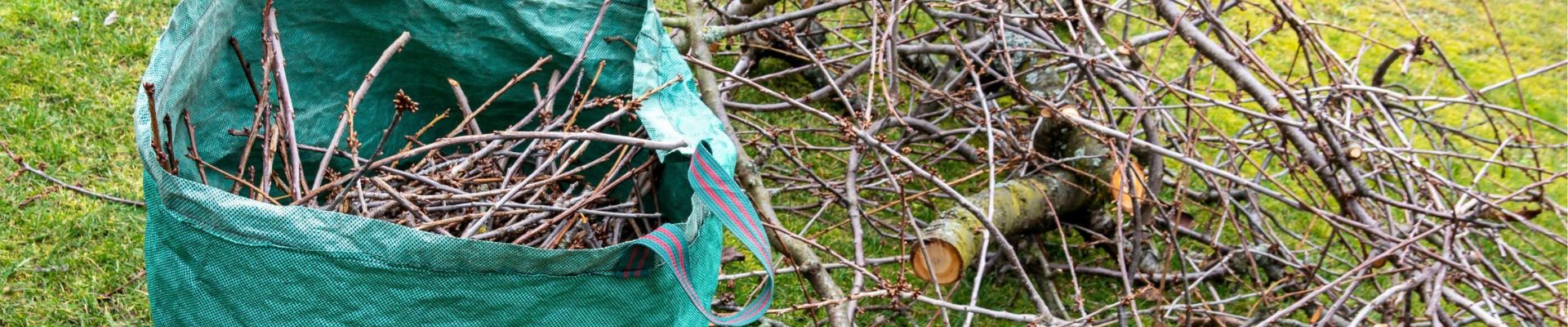 Green Waste Removal