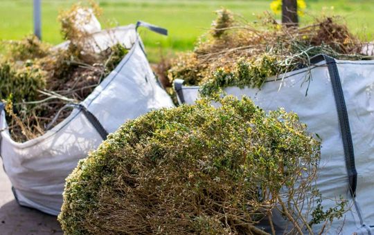 Green Rubbish Disposal