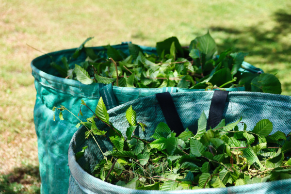 Green Waste Removal Hurstville