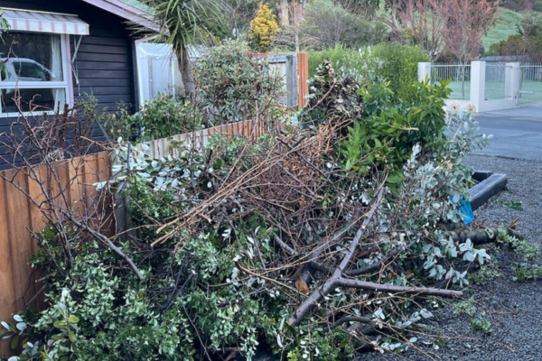 Green Waste Removal Sydney