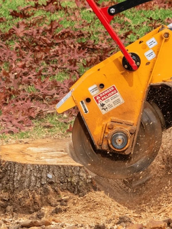 Stump Grinding Near Me