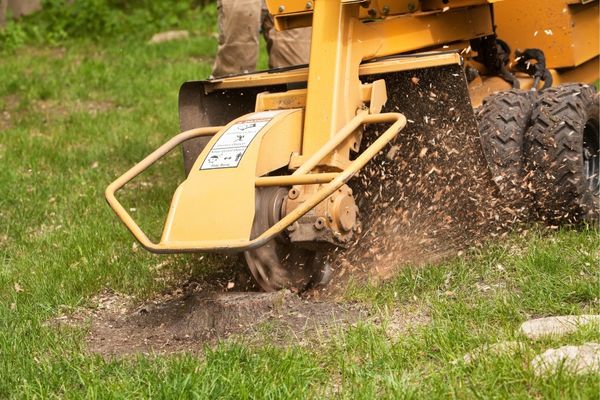 Stump Grinding Near Me