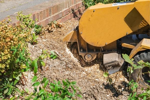 Stump Grinding Near Me