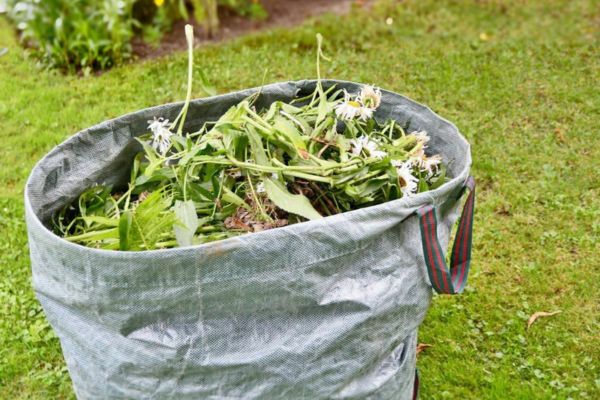 Garden Rubbish Removal Service Near Me