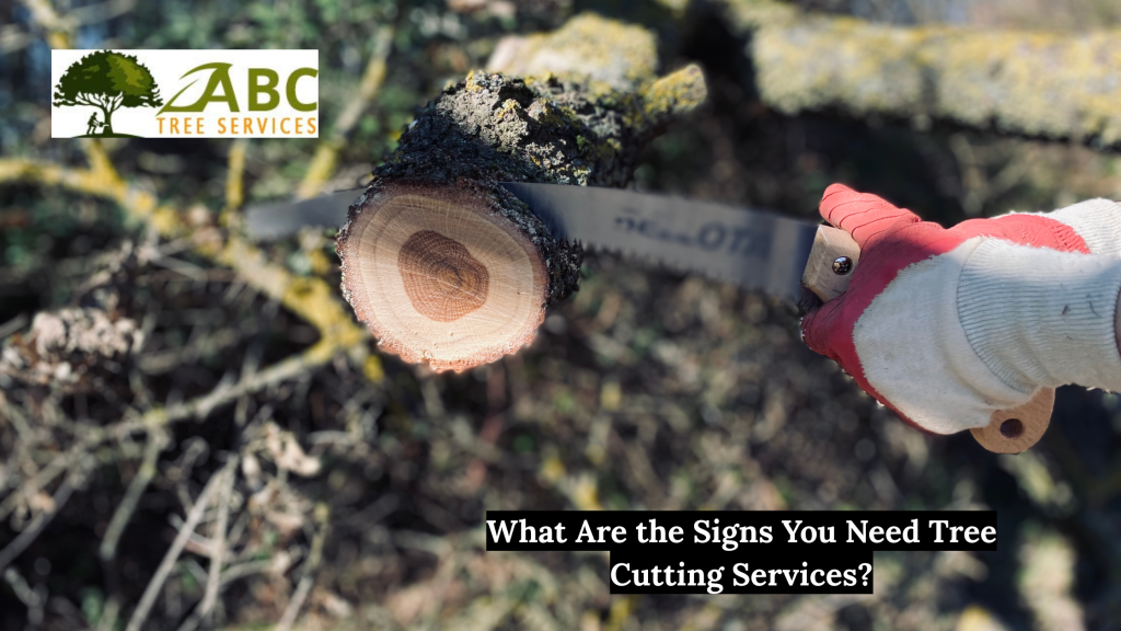 Tree Cutting Services